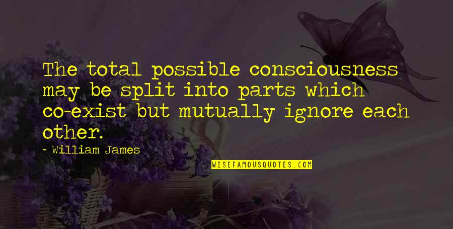 Paswg Stocking Quotes By William James: The total possible consciousness may be split into