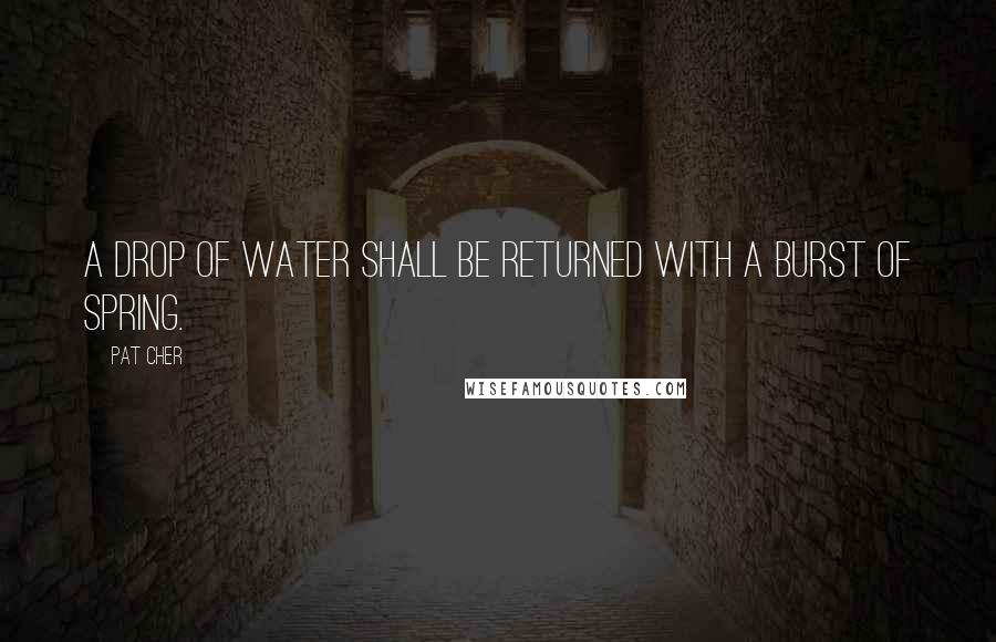 Pat Cher quotes: A drop of water shall be returned with a burst of spring.