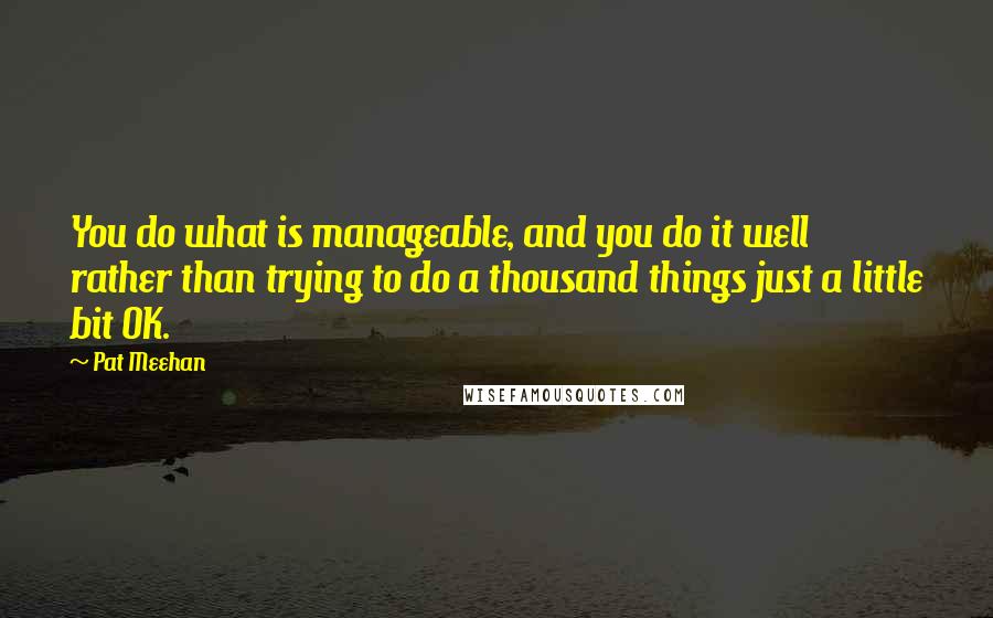 Pat Meehan quotes: You do what is manageable, and you do it well rather than trying to do a thousand things just a little bit OK.