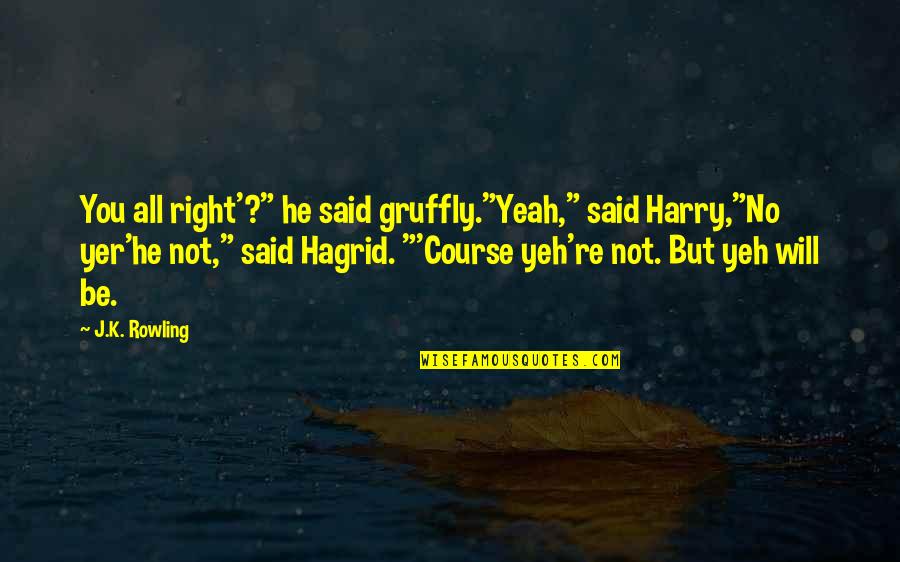 Pataratida Patcharawirapong Quotes By J.K. Rowling: You all right'?" he said gruffly."Yeah," said Harry,"No