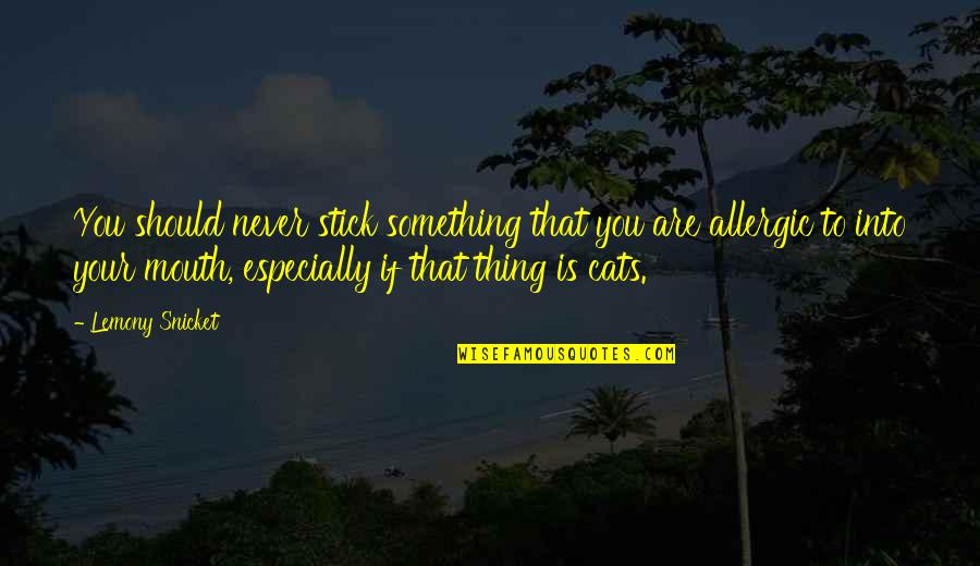 Patay Malisya Quotes By Lemony Snicket: You should never stick something that you are