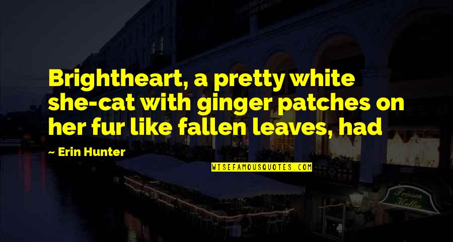 Patches O'houlihan Quotes By Erin Hunter: Brightheart, a pretty white she-cat with ginger patches Patches O'houlihan Quotes By Erin Hunter: Brightheart, a pretty white she-cat with ginger patches