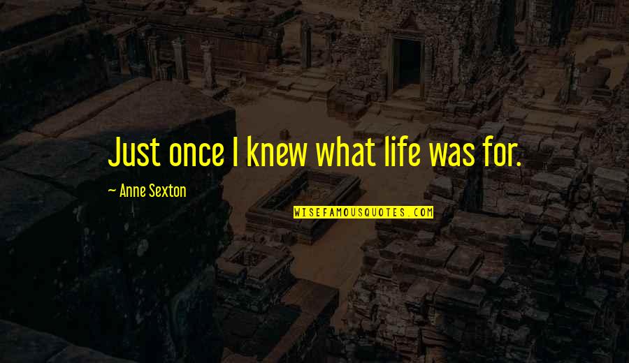 Patey Guttering Quotes By Anne Sexton: Just once I knew what life was for. Patey Guttering Quotes By Anne Sexton: Just once I knew what life was for.