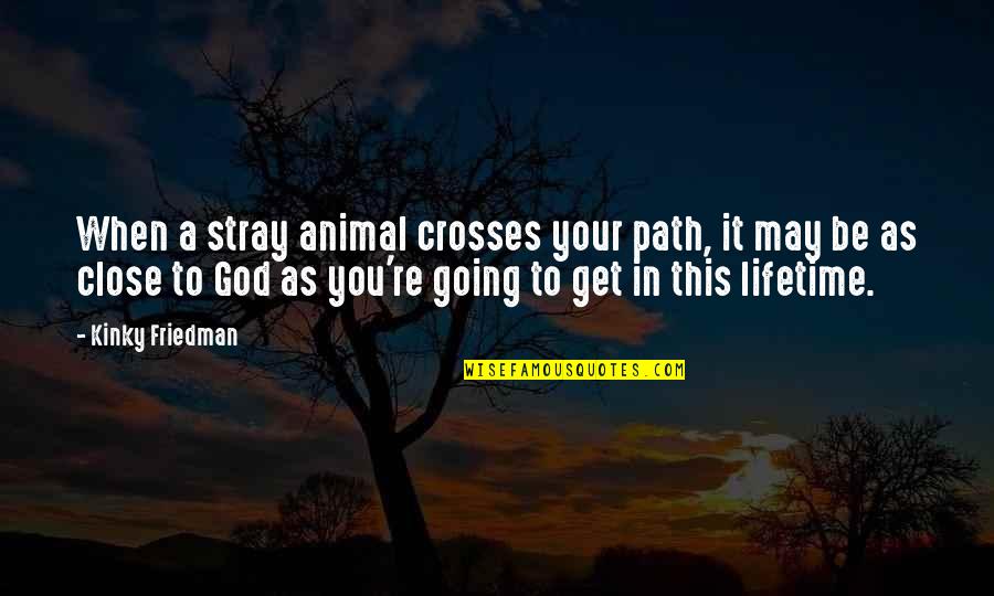 Path God Quotes By Kinky Friedman: When a stray animal crosses your path, it