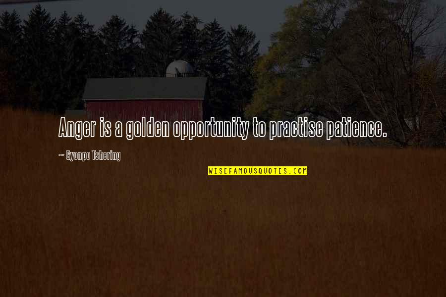 Patience And Anger Quotes By Gyonpo Tshering: Anger is a golden opportunity to practise patience.