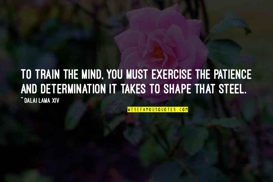 Patience And Determination Quotes By Dalai Lama XIV: To train the mind, you must exercise the