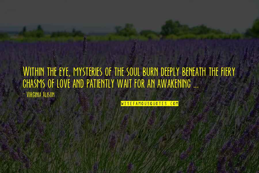 Patience And Love Quotes By Virginia Alison: Within the eye, mysteries of the soul burn