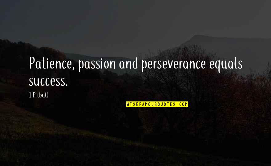 Patience And Perseverance Quotes By Pitbull: Patience, passion and perseverance equals success.