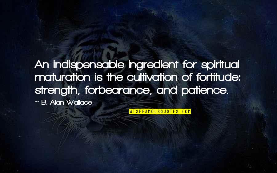 Patience And Strength Quotes By B. Alan Wallace: An indispensable ingredient for spiritual maturation is the