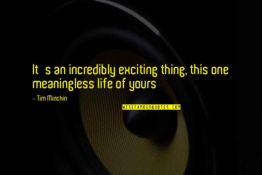 Patience And Vane Quotes By Tim Minchin: It's an incredibly exciting thing, this one meaningless
