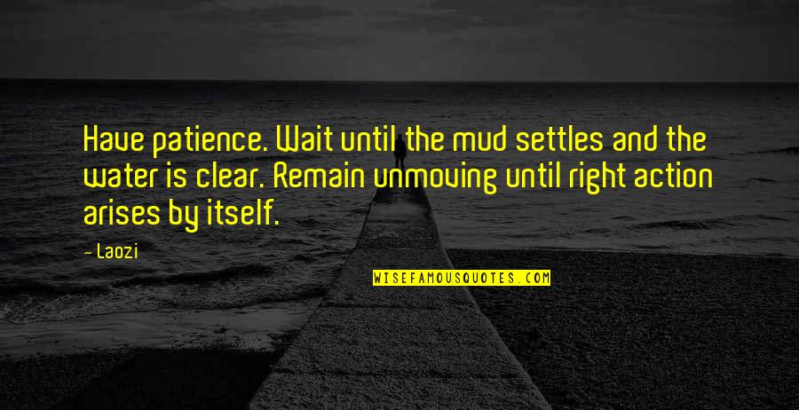 Patience And Waiting Quotes By Laozi: Have patience. Wait until the mud settles and