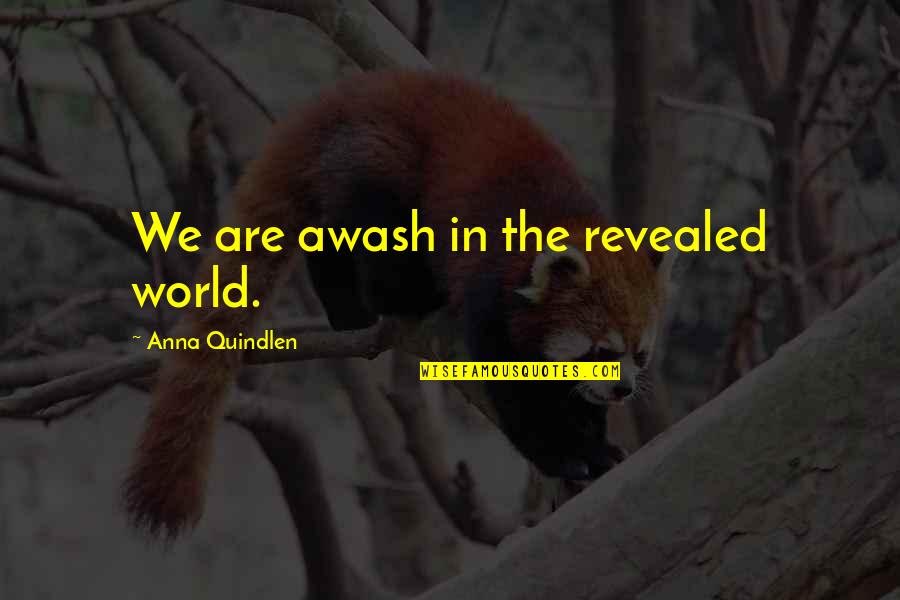 Patience Bahai Quotes By Anna Quindlen: We are awash in the revealed world.