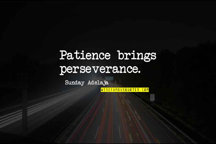 Patience Brings Quotes By Sunday Adelaja: Patience brings perseverance.