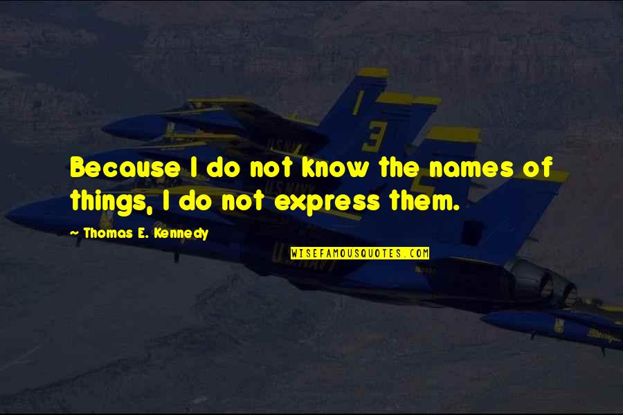 Patience For Enemy Quotes By Thomas E. Kennedy: Because I do not know the names of