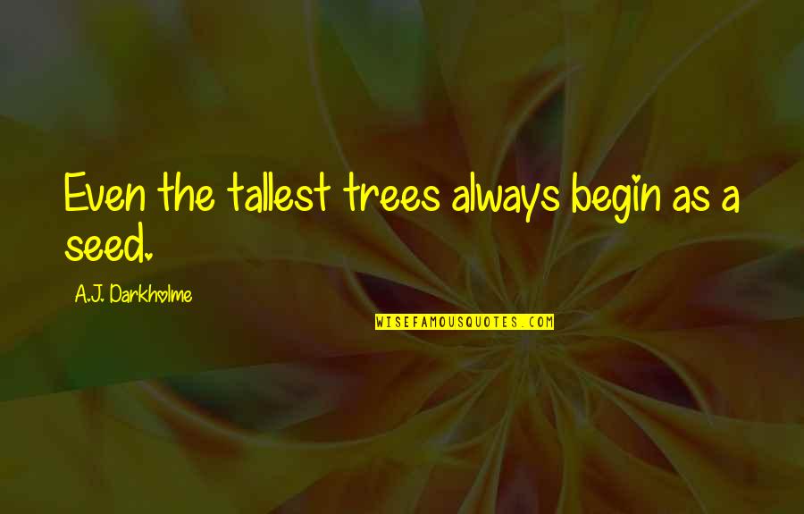 Patience For Success Quotes By A.J. Darkholme: Even the tallest trees always begin as a