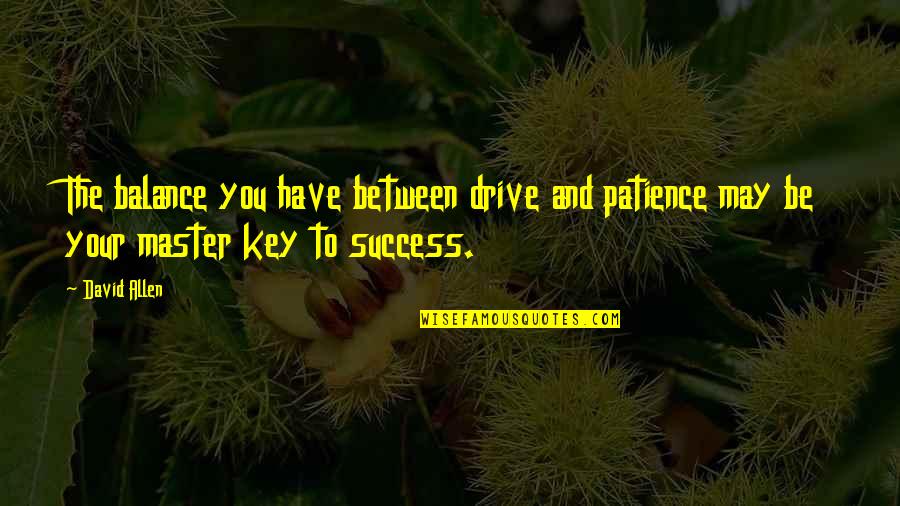 Patience For Success Quotes By David Allen: The balance you have between drive and patience