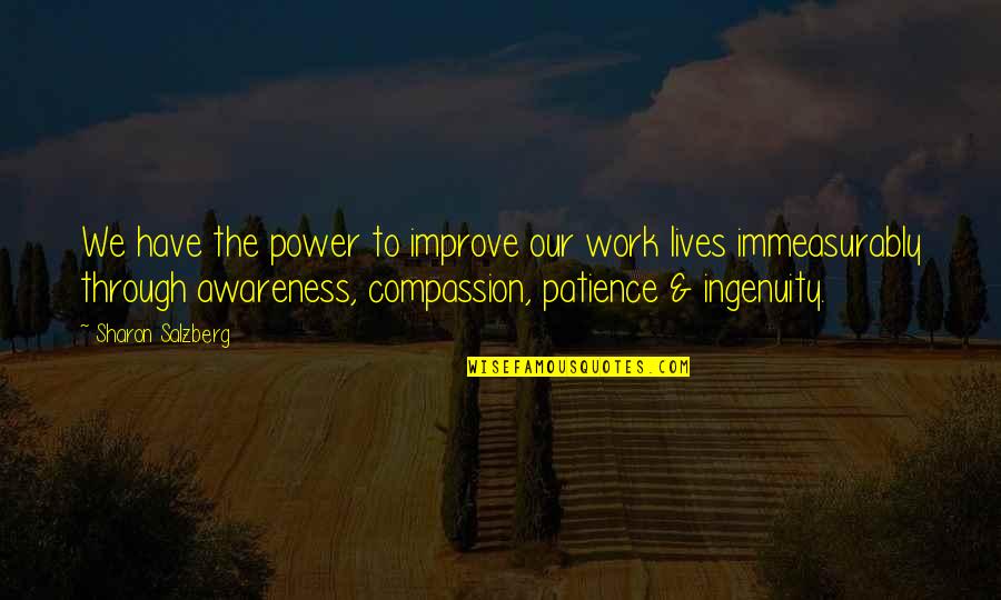 Patience In Work Quotes By Sharon Salzberg: We have the power to improve our work
