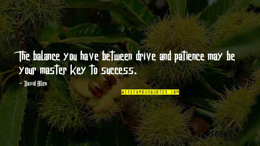 Patience Is Key To Success Quotes By David Allen: The balance you have between drive and patience