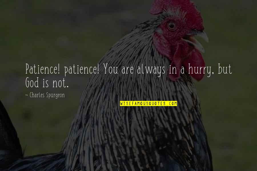 Patience Is Quotes By Charles Spurgeon: Patience! patience! You are always in a hurry, Patience Is Quotes By Charles Spurgeon: Patience! patience! You are always in a hurry,