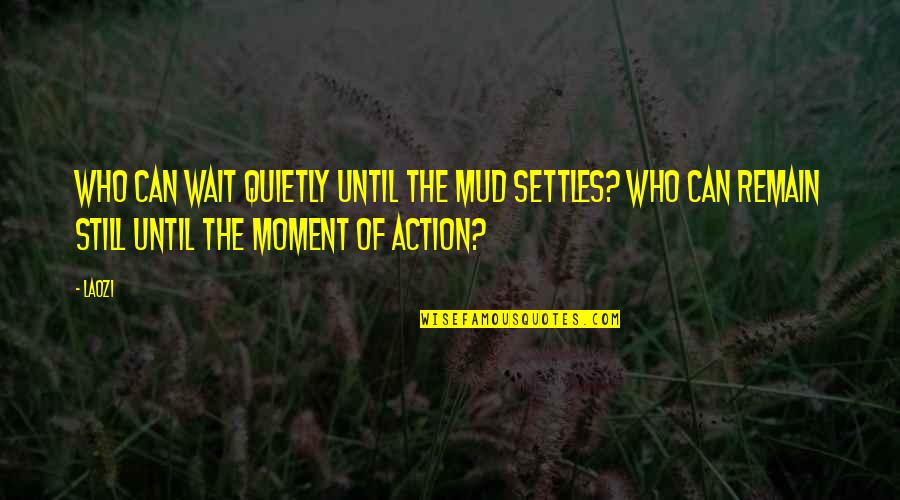 Patience Of Waiting Quotes By Laozi: Who can wait quietly until the mud settles?