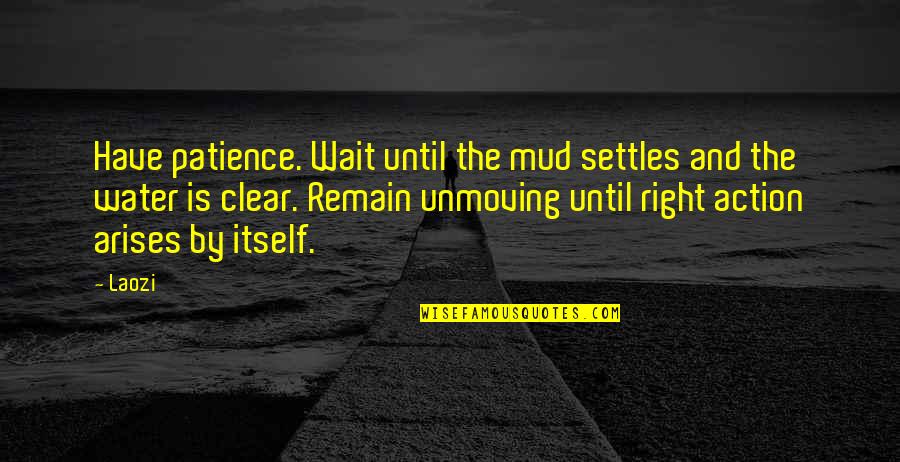 Patience Of Waiting Quotes By Laozi: Have patience. Wait until the mud settles and
