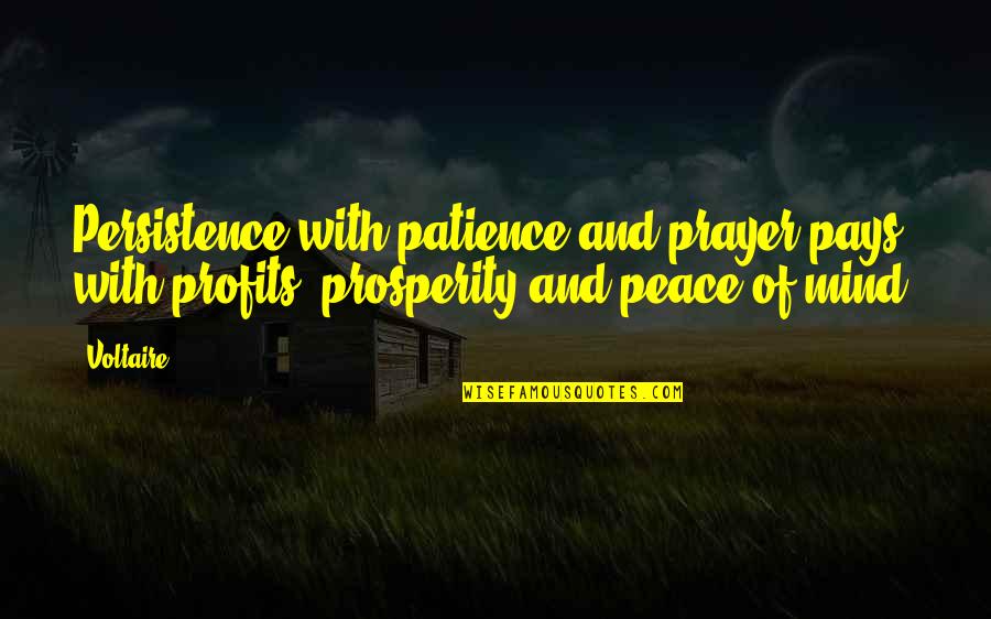 Patience Pays Quotes By Voltaire: Persistence with patience and prayer pays with profits,