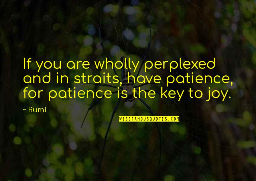 Patience Rumi Quotes By Rumi: If you are wholly perplexed and in straits,