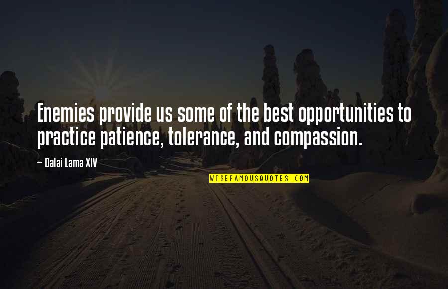 Patience Tolerance Quotes By Dalai Lama XIV: Enemies provide us some of the best opportunities