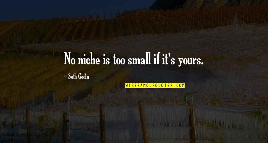 Patience Will Bring Out Virtue Quotes By Seth Godin: No niche is too small if it's yours.