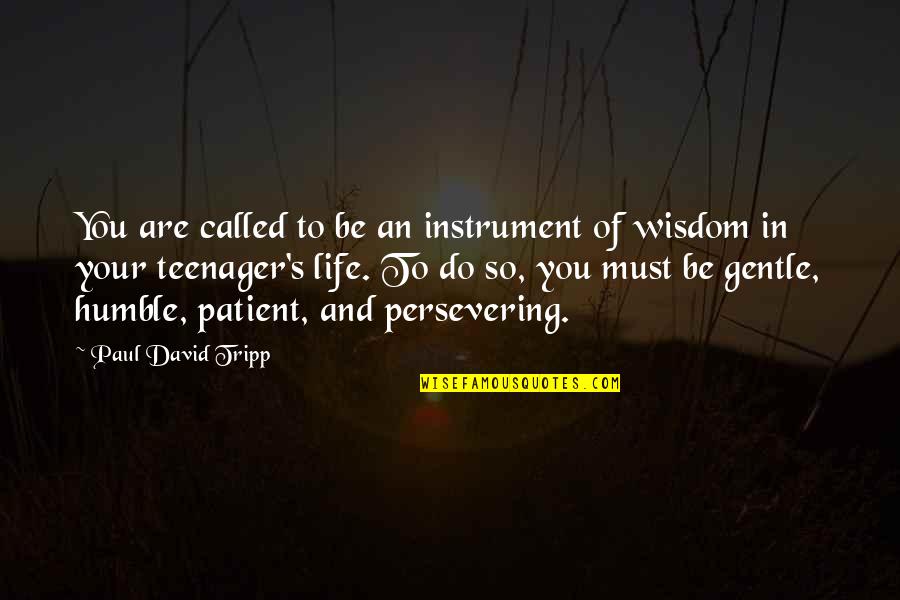 Patient In Life Quotes By Paul David Tripp: You are called to be an instrument of