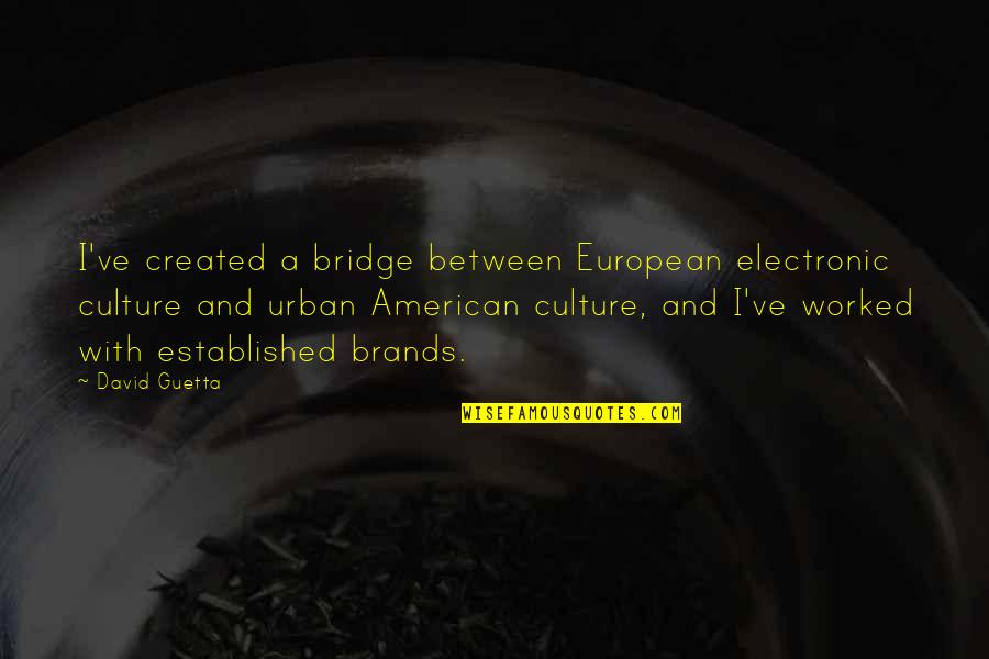 Patinar In English Quotes By David Guetta: I've created a bridge between European electronic culture Patinar In English Quotes By David Guetta: I've created a bridge between European electronic culture