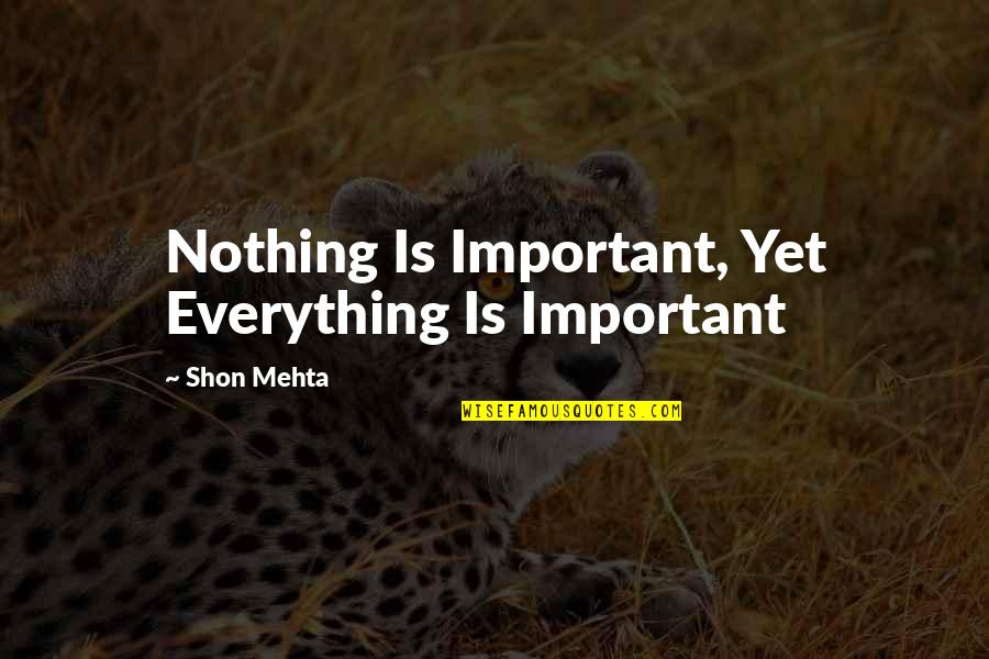 Patranger Quotes By Shon Mehta: Nothing Is Important, Yet Everything Is Important
