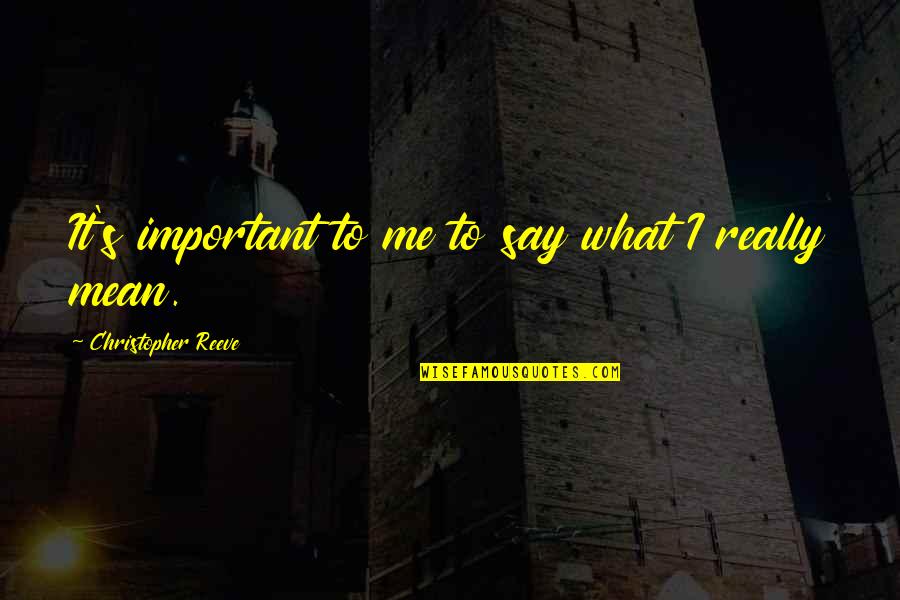 Patriarchally Quotes By Christopher Reeve: It's important to me to say what I