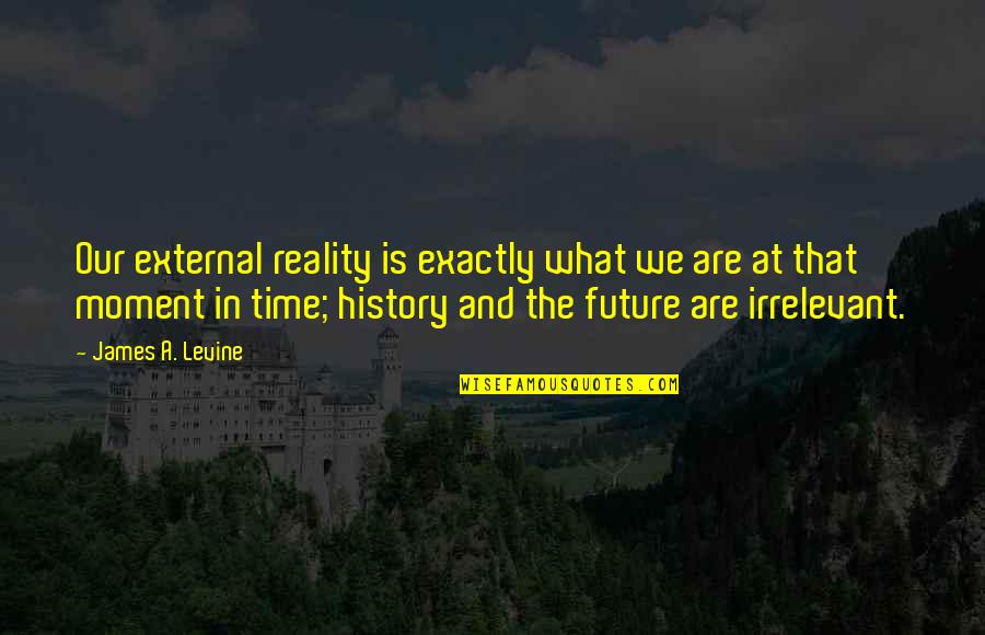 Patrice Gabrietz Quotes By James A. Levine: Our external reality is exactly what we are