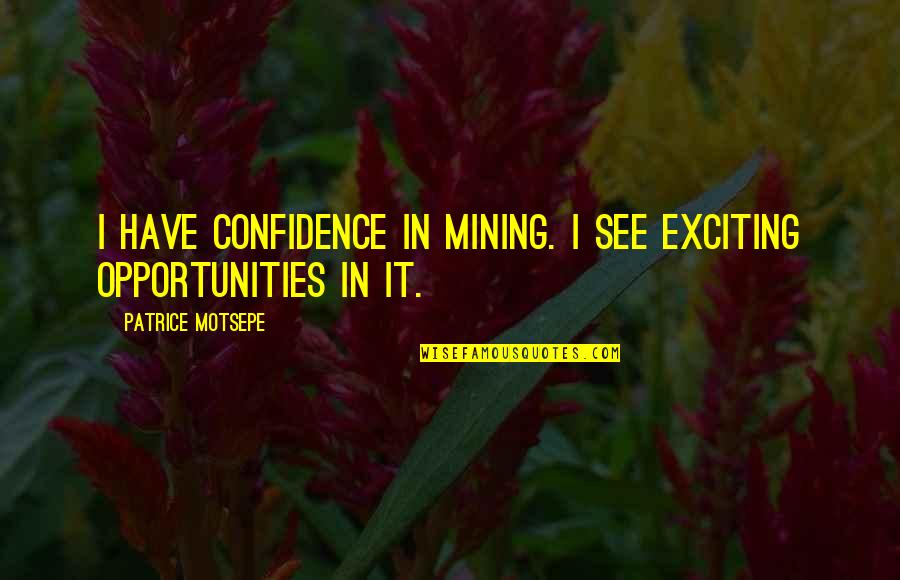 Patrice Quotes By Patrice Motsepe: I have confidence in mining. I see exciting