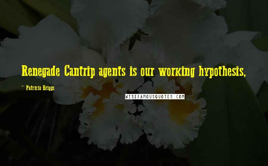 Patricia Briggs quotes: Renegade Cantrip agents is our working hypothesis,