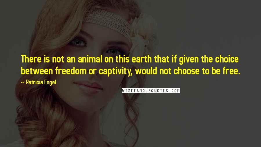 Patricia Engel quotes: There is not an animal on this earth that if given the choice between freedom or captivity, would not choose to be free.