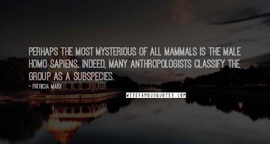 Patricia Marx quotes: Perhaps the most mysterious of all mammals is the male Homo sapiens. Indeed, many anthropologists classify the group as a subspecies. Patricia Marx quotes: Perhaps the most mysterious of all mammals is the male Homo sapiens. Indeed, many anthropologists classify the group as a subspecies.
