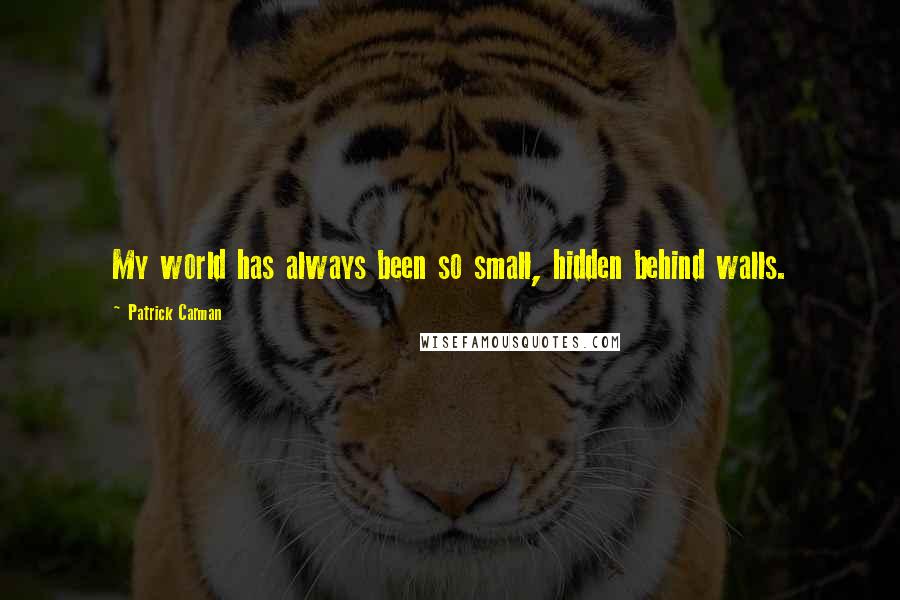 Patrick Carman quotes: My world has always been so small, hidden behind walls.