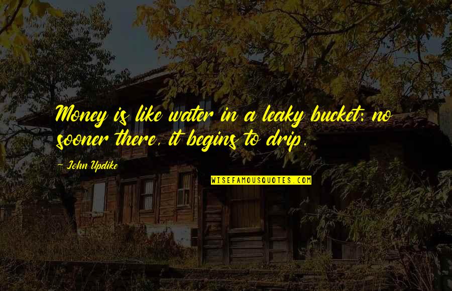 Patrick Chamusso Quotes By John Updike: Money is like water in a leaky bucket: