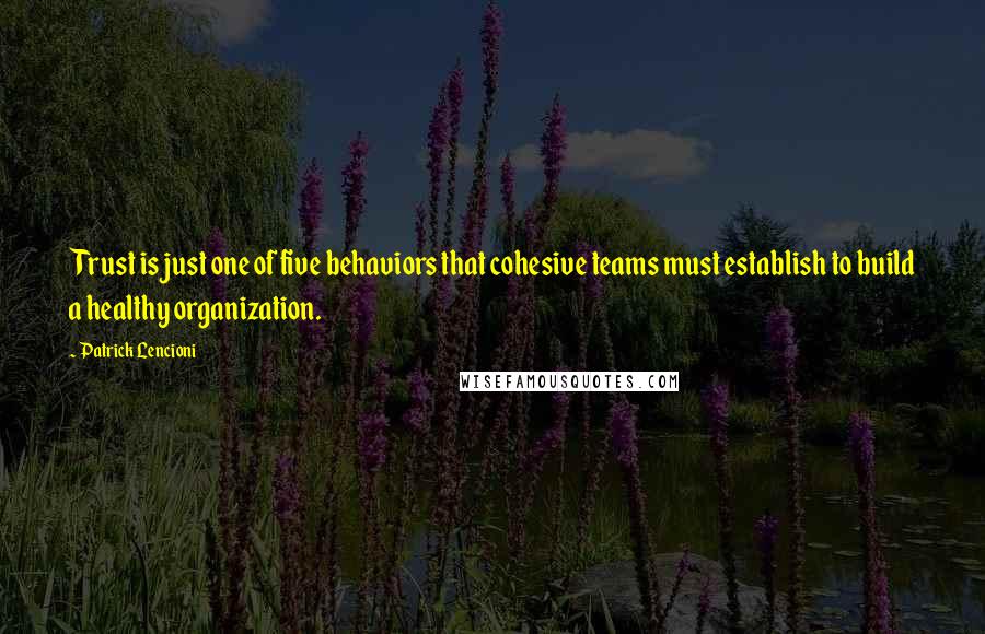 Patrick Lencioni quotes: Trust is just one of five behaviors that cohesive teams must establish to build a healthy organization.