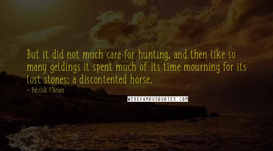Patrick O'Brian quotes: But it did not much care for hunting, and then like so many geldings it spent much of its time mourning for its lost stones: a discontented horse. Patrick O'Brian quotes: But it did not much care for hunting, and then like so many geldings it spent much of its time mourning for its lost stones: a discontented horse.