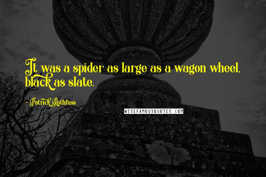 Patrick Rothfuss quotes: It was a spider as large as a wagon wheel, black as slate.