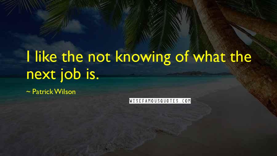 Patrick Wilson quotes: I like the not knowing of what the next job is.