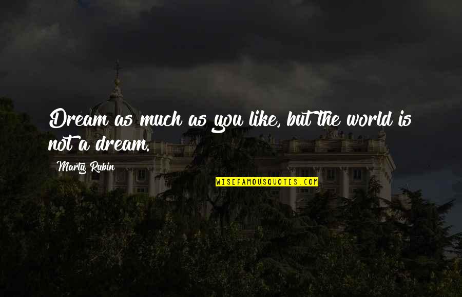 Patrimonies Quotes By Marty Rubin: Dream as much as you like, but the