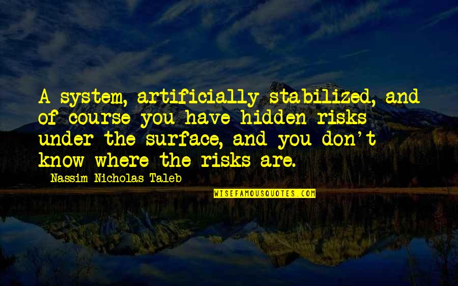 Patriotism Negative Quotes By Nassim Nicholas Taleb: A system, artificially stabilized, and of course you