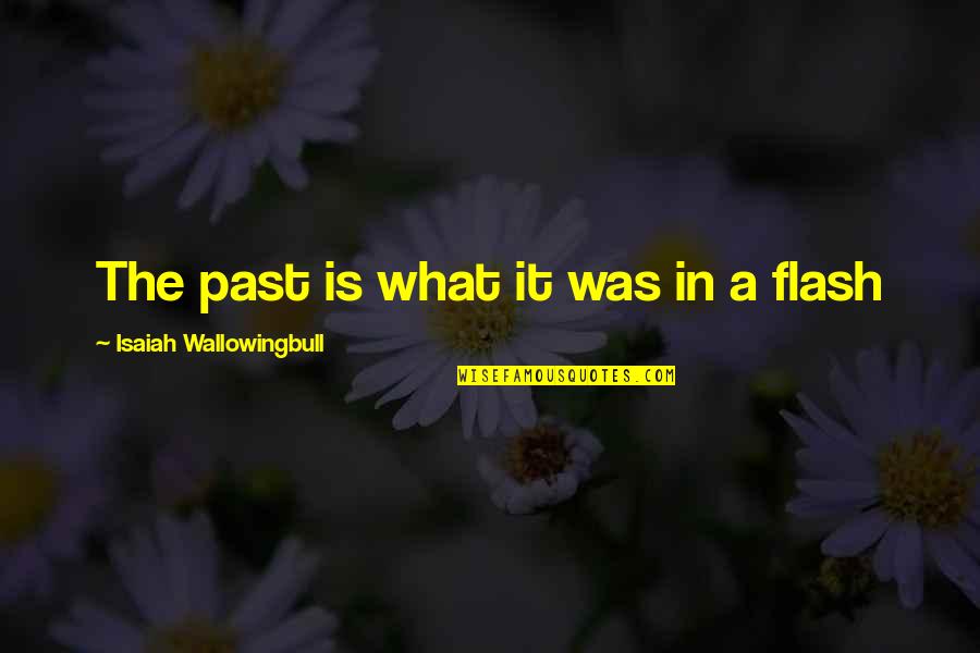 Patronship Quotes By Isaiah Wallowingbull: The past is what it was in a Patronship Quotes By Isaiah Wallowingbull: The past is what it was in a