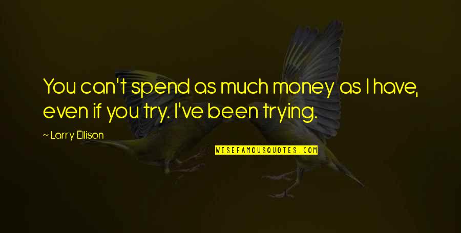Patronuses Harry Quotes By Larry Ellison: You can't spend as much money as I