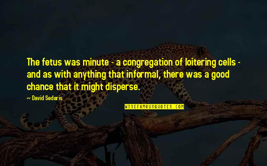 Patroonsfeest Quotes By David Sedaris: The fetus was minute - a congregation of Patroonsfeest Quotes By David Sedaris: The fetus was minute - a congregation of