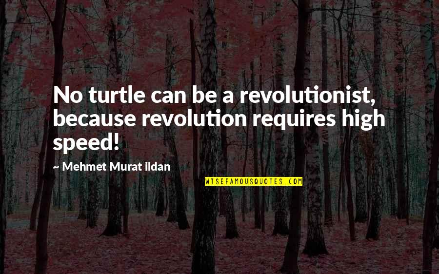 Patrzec Quotes By Mehmet Murat Ildan: No turtle can be a revolutionist, because revolution Patrzec Quotes By Mehmet Murat Ildan: No turtle can be a revolutionist, because revolution